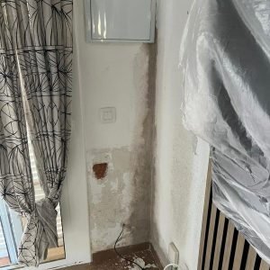 af505423-69cf-4e40-9719-a618eb1941ed